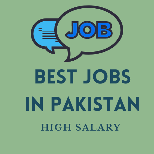 Best jobs in Pakistan with high salary 2024||What is the most paid job in Pakistan?||Which field is best for earning money in Pakistan?